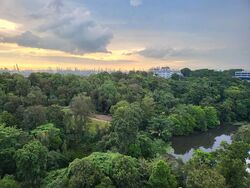 Normanton Park (D5), Apartment #497824371